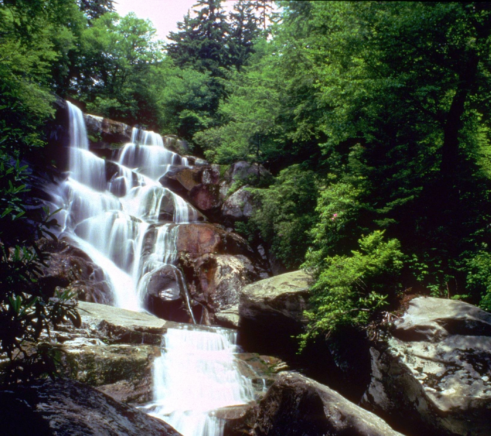 ramsey cascades