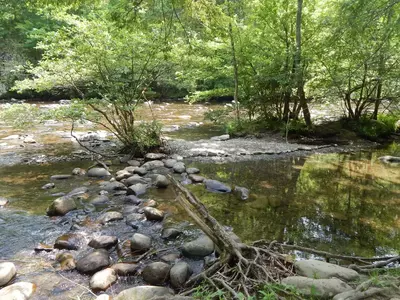 smoky mountain river