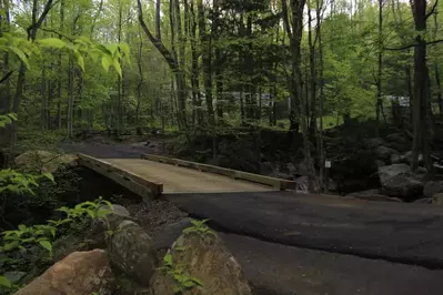 bridge over a creek