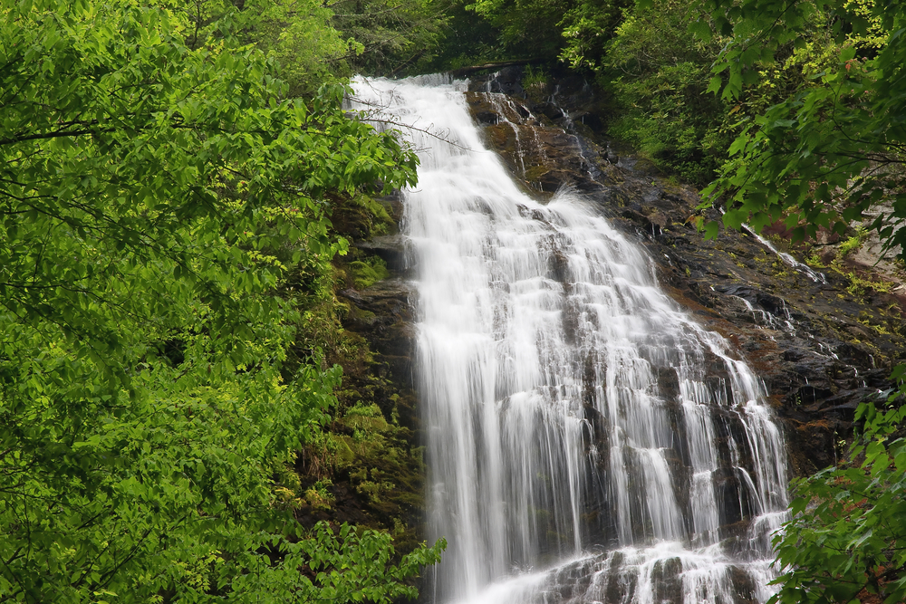 Mingo Falls in the Smoky Mountains