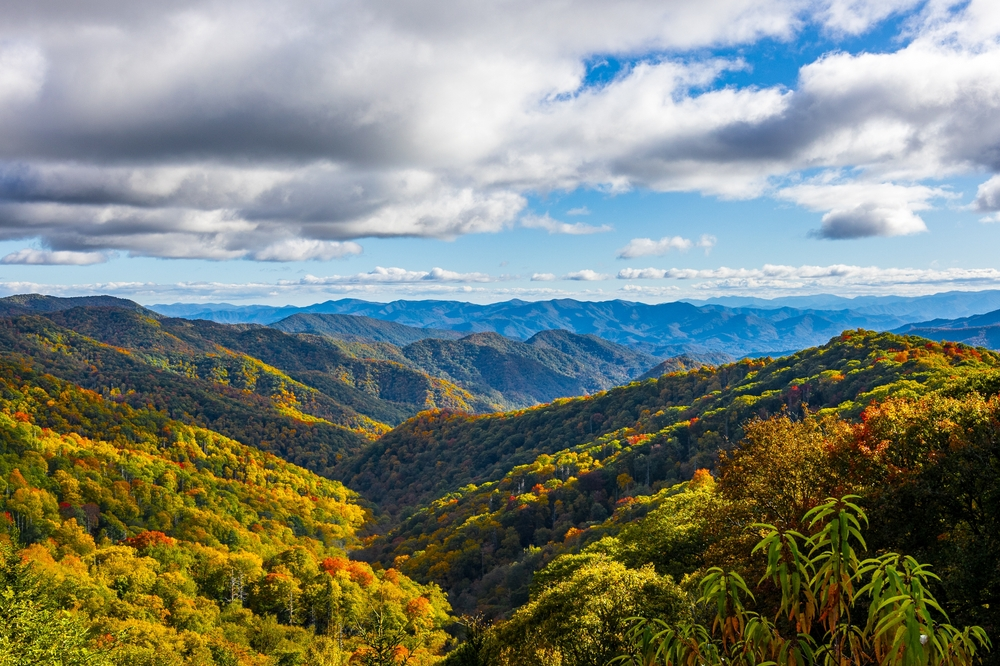 fall colors in the Smoky Mountains