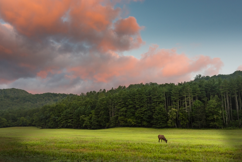 Cataloochee Valley in NC