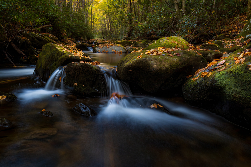 stream in the Smoky Mountains