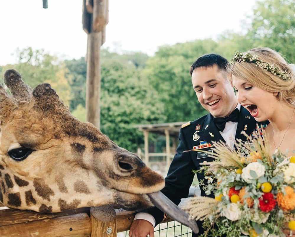 Zoo Knoxville Wedding
